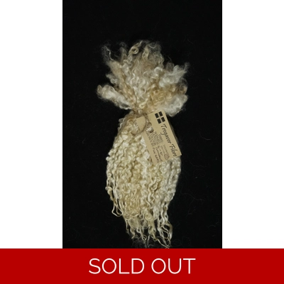 Champagne colour curly wool ringlets 28g, 14g or 7g, teeswater  curly wool locks (v)